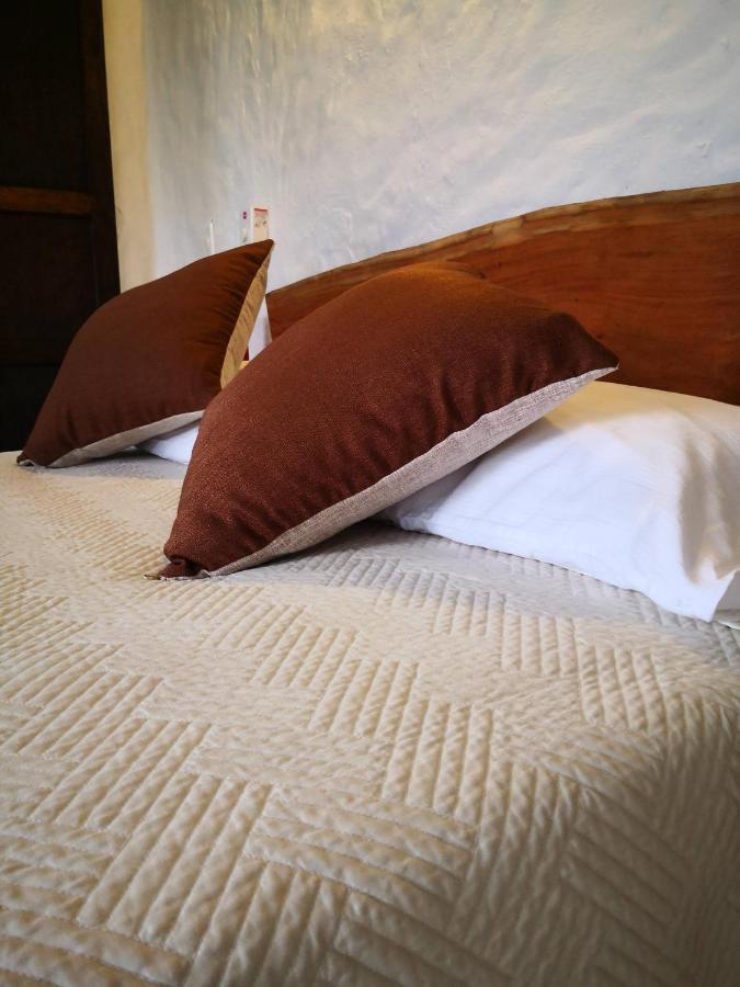 Hotel Mulato エル・コレヒオ エクステリア 写真